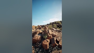 Namaqualand Environment Pack Unreal Engine 5.5.4 render #megascans #cinematic #gamedevelopment