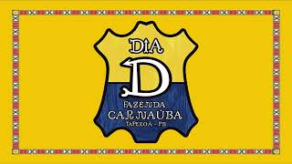 ILUSTRE   D MDVS 3198 2023