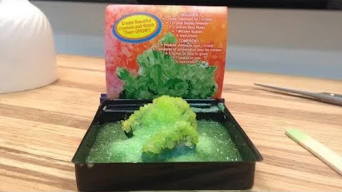 Crystal Growing Kit | Dollar Tree Science Kit 💎