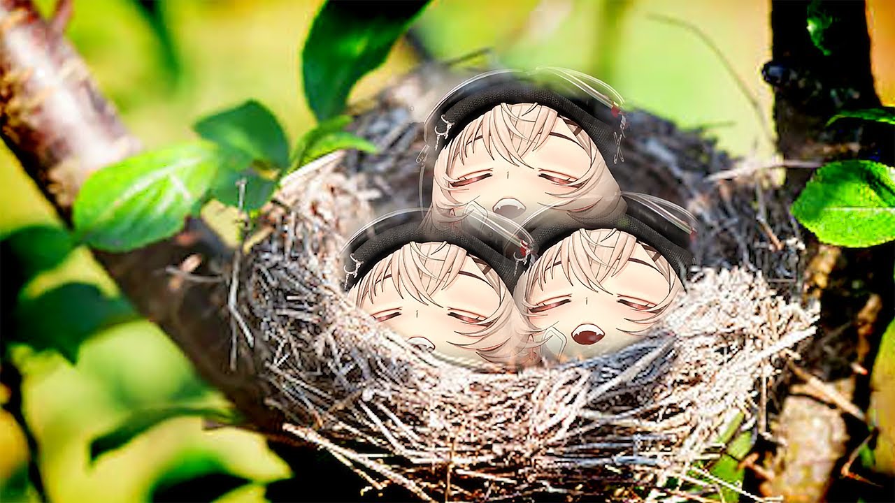 "feed me like a bird chat~ ♥"