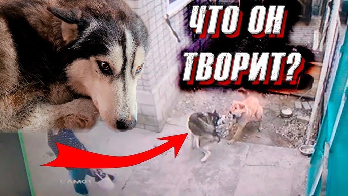 Erotik fantastika Bryoni Keytning porno suratlari