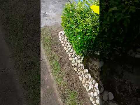 Di Makapaniwala Si Boss Na Ganito Kalalabasan Ng Garden Buhaygardener