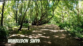 [4K] A scenic summer walk through Wimbledon Common SW19