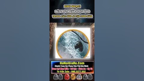 Kinh ngạc máy trợ tim trong xác ướp Ai Cập 2500 năm vẫn hoạt động