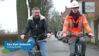 Op Zoek Naar De Roestplaatsen Van De Ransuil