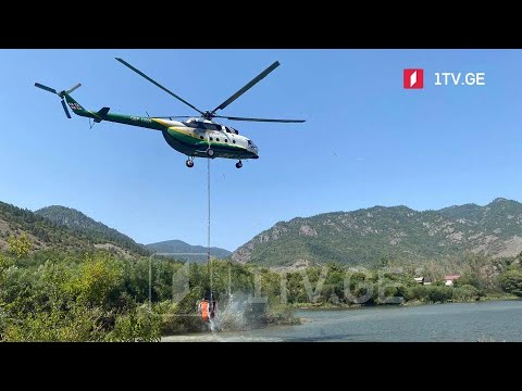 ხანძარი ბორჯომის ტყეში