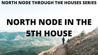 North Node in the 5th House/South Node in the 11th House