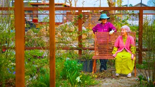 vlog ชนบทของญี่ปุ่น: แม่และยายของฉันเพลิดเพลินกับสวนฤดูใบไม้ผลิ