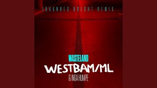 Wasteland (Johannes Brecht Remix)