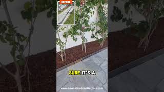 Bokarina Garden Makeover — AFTER | Clean Lines, Steel Edging & A Fresh New Look