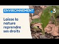 Dmanteler les routes pour laisser la nature reprendre le dessus