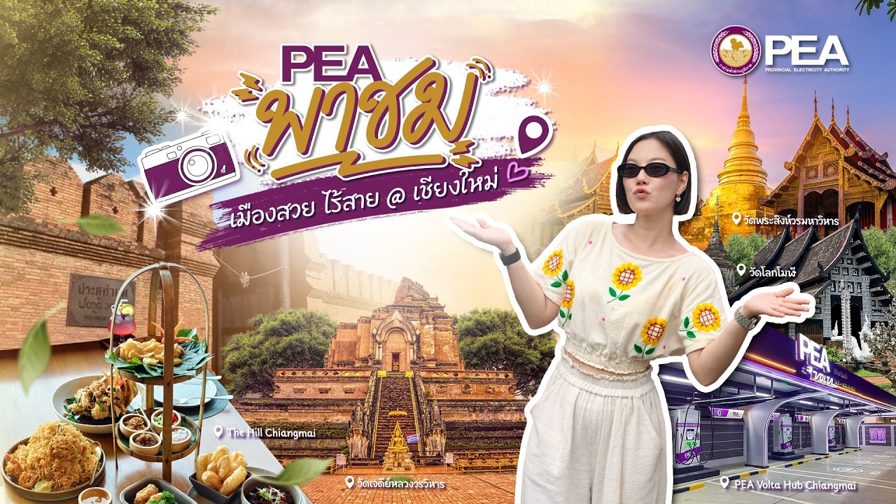 PEA พาชม | เมืองสวยไร้สาย @ เชียงใหม่