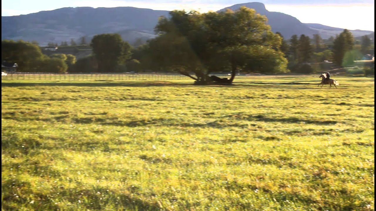 McMillan Farms - 2011 filming the movie Flicka 3 - YouTube