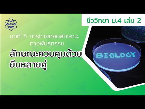 วีดีโอ: วิทยาศาสตร์และการปฏิบัติยืนยัน: พอลิสไตรีนที่ขยายตัวมีประสิทธิภาพและปลอดภัย