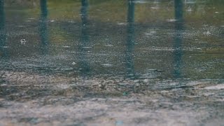 Raining On Street Pavement Sounds For Sleeping, Relaxing ~ Water Drops Heavy Downpour Ambience by Sounds4Sleeping 288,274 views 7 years ago 2 hours, 30 minutes