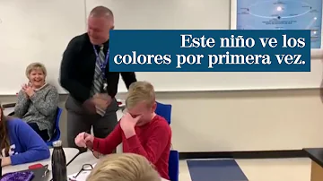 ¿Cuando un niño no reconoce los colores?