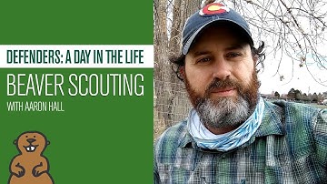 Defenders: A Day in the Life - Beaver Scouting