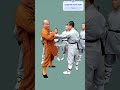 Best Self Defense Moves You Must Learn #viralkungfu #shortsvideo #motivation #planche #viralvideo