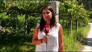 El albariño no puede con tanta agua