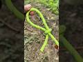 Great Slip Knot !