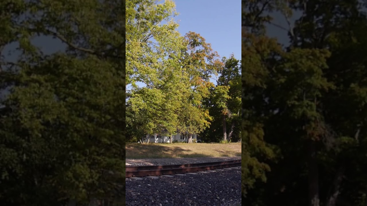Amtrak Lincoln Service Train 301 at Funk's Grove, Illinois