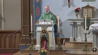 Thirteenth Sunday in Ordinary Time - June 28, 2026