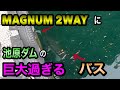 池原ダムでマグナム2WAYの吊るしで巨大過ぎるバスが！！