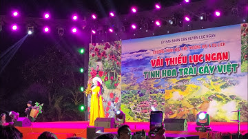 TOÀN CẢNH LỄ HỘI VẢI THIỀU LỤC NGẠN - TINH HOA TRÁI CÂY VIỆT