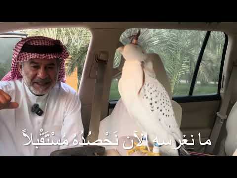 م ن الب د اي ة للن ه اي ة ٦