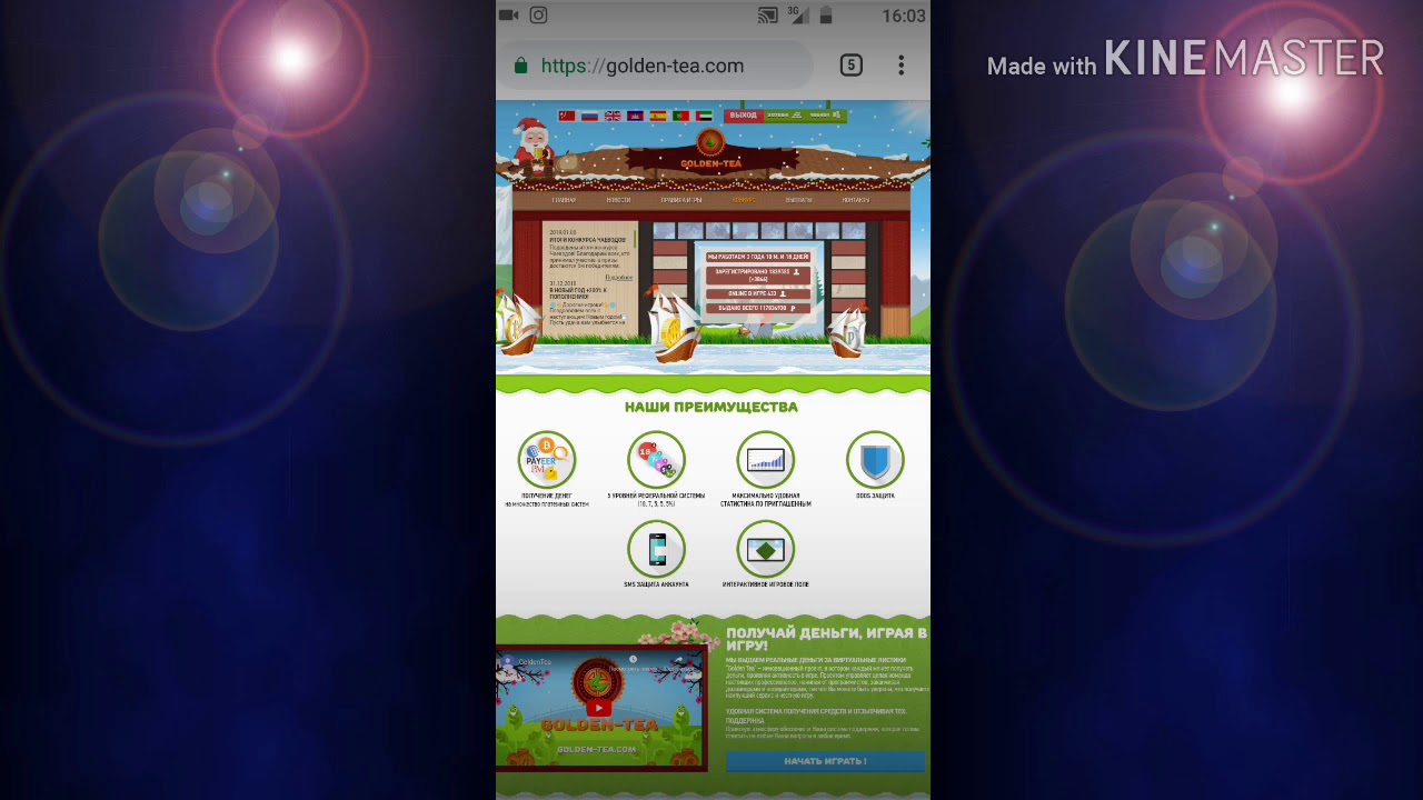 GoldenTea  Заработок на чае.Вывод средств с проекта.