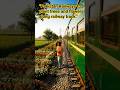 Pakistan Railways #pakistan #train #travel