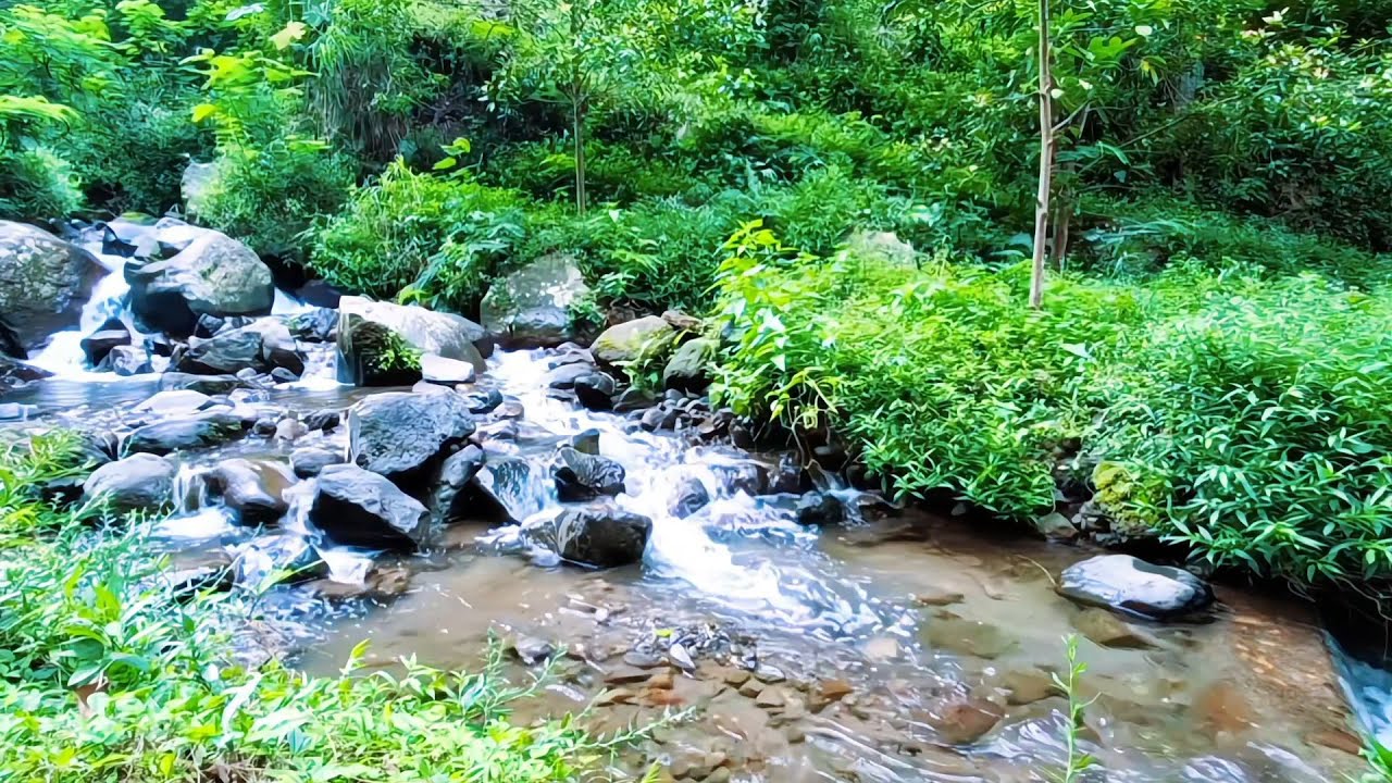 Calm River Sounds for Total Relaxation