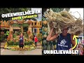 UNBELIEVABLE FILIPINO MADE HOUSES! Vloggers OVERWHELMED In The PHILIPPINES