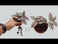 How to propagate wandering jew or inch plant from cutting and care