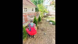 M Garden Užice- Uređenje dvorišta