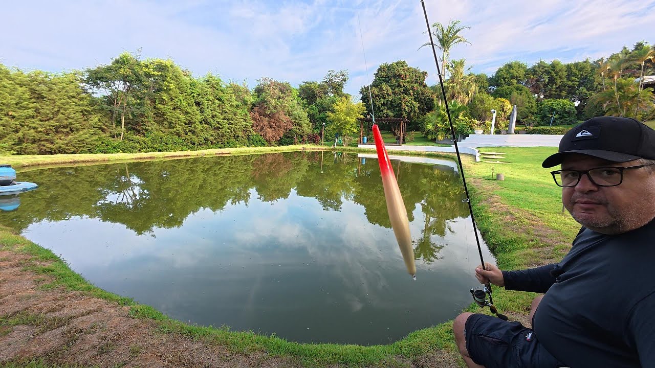 Essa técnica de pesca é covardia - fly caipira !