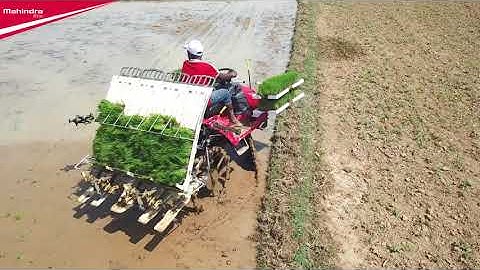 Mahindra PlantingMaster Paddy 4RO || महिंद्रा प्लांटिंगमास्टर पैडी || Hindi
