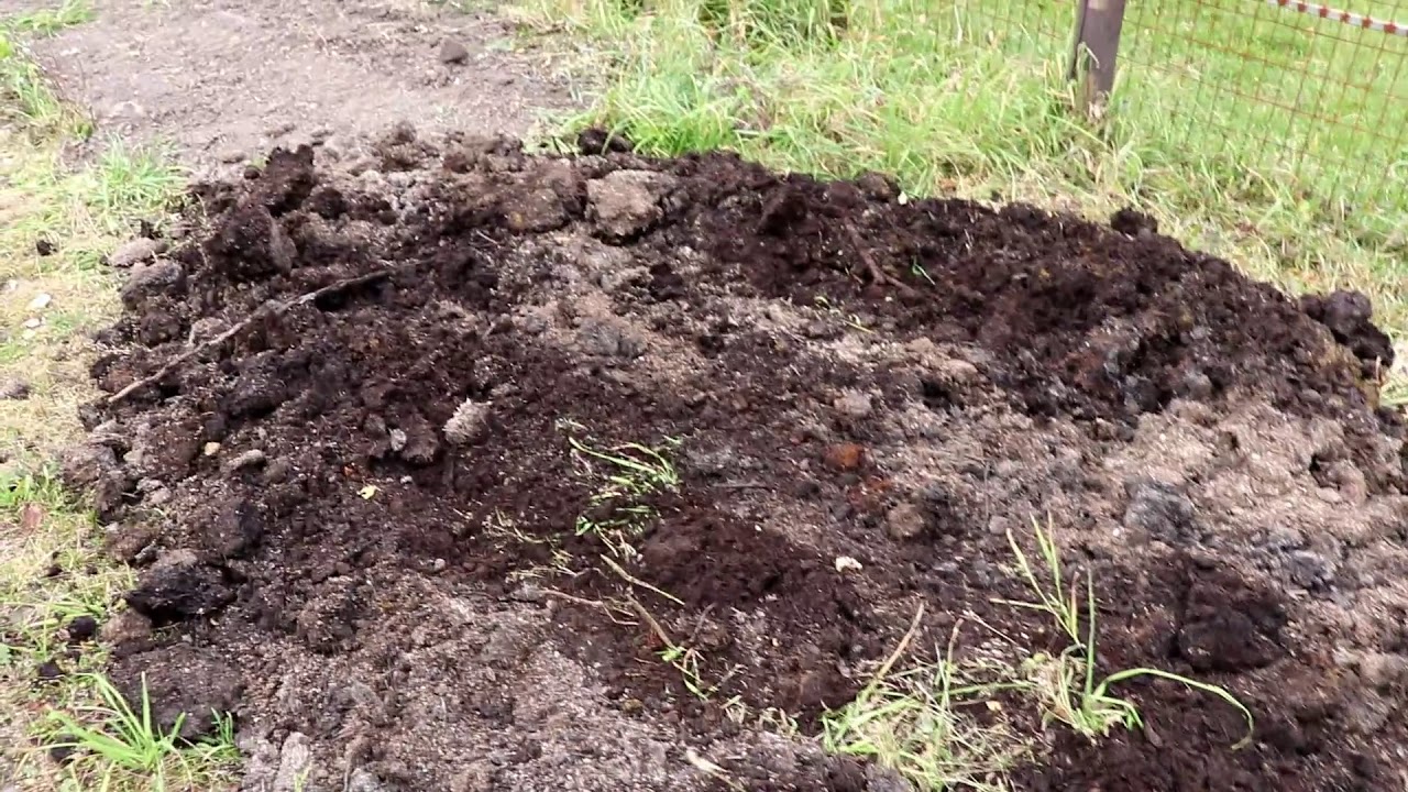 How to Garden Series 37: Conclusion; Adding Compost to the Garden - YouTube