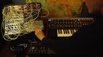 D minor mood - OCTATRACK MKII/SUBSEQUENT 37/EURORACK