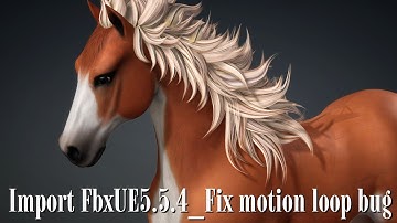 Import Fbx UE 5.5.4_Fix motion loop bug