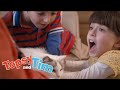 Topsy&#39;nin yatağında uyuyan bir kedi vardır!