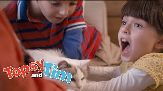 Topsy&#39;nin yatağında uyuyan bir kedi vardır!