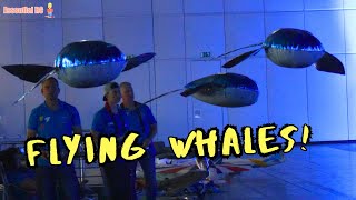 Flying Whales ! Dmfv Team At Modell-Hobby-Spiel 2023
