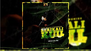 Paul Maker x Harmonize - Serikali Kuu (Official Audio ) uchambuzi