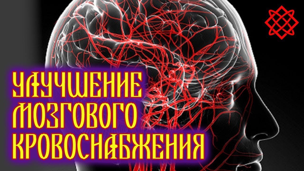 Кровообращение головного мозга травы. Улучшение кровообращения мозга. Восстановление кровообращения головного мозга. Улучшает мозговое кровообращение. Затруднённое кровоток к мозгу.