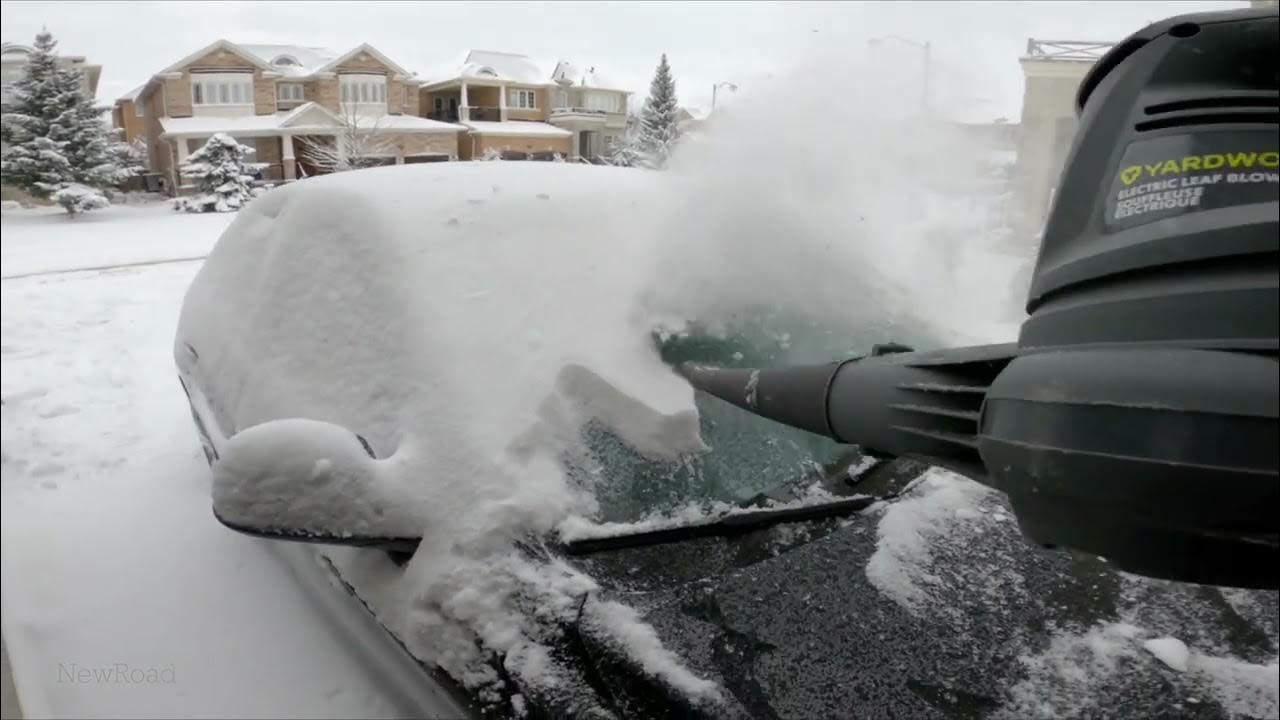 Snow Loofa (auto snow removal) – Car Loofa