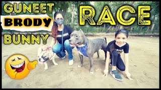 *RACE* Between Guneet Brody and Bunny  Dog Race | Harpreet SDC