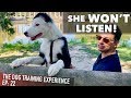 My Own Puppy Won't Listen To Me!