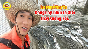 Bao đăng bắt cá ở đồi nhái  Vũng Tàu - đăng này nhìn cá thôi cũng thấy sướng.