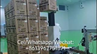 Auto case machine + weight detecting + palletizing+ Strech wrapper